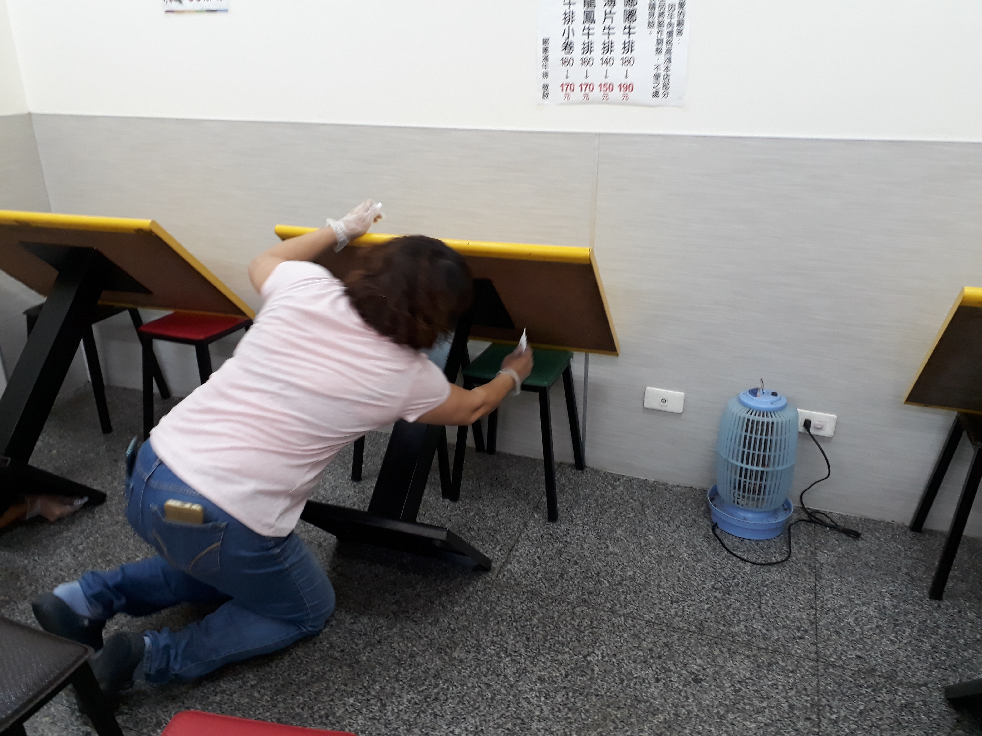 #台南德國蟑螂專業防治處理  #台南生活家專業除蟑 #台南蟑螂防治專家